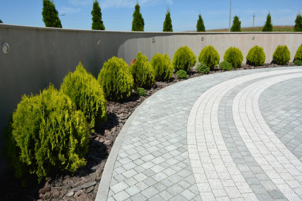 Best Decorative Driveway Paving in Des Peres, MO